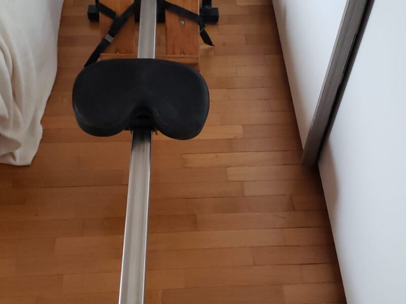 Vendo vogatore ad aria professionale